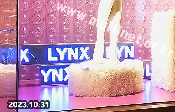 역삼동 Lynx 골프웨어 매장 (80mm 2단12열 풀컬러전광판)
