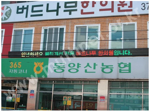 버드나무 한의원