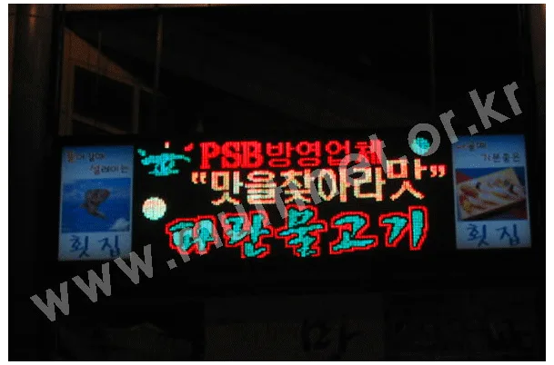 파란물고기